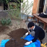 樹木植え込みDIY：鶴見の家
